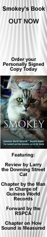 smokey's book banner